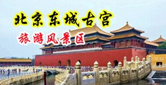 黑丝长腿美女被我插的淫水狂出极品小穴中国北京-东城古宫旅游风景区